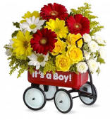 Welcome New Baby Flowers In A Wagon