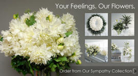 Sterling Sympathy and Funeral Flowers