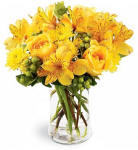 Golden Radiance In Laughlin by Your Local Florist
