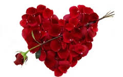 Jackson Valentine's Day Flowers and Gift Baskets