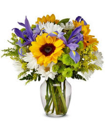 Fun in the Sun Sunflower Bouquet