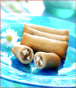 Tofu and Mushroom Springrolls