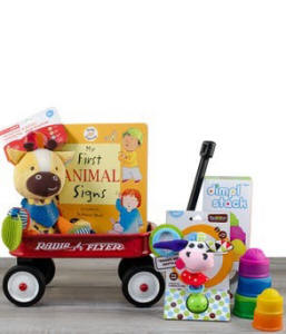 Babies Little Red Wagon