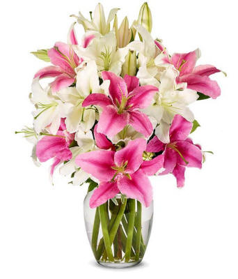 Stunning Pink White Lilies